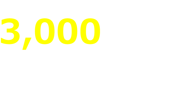 フェニックスの在庫車両は3,000台以上！